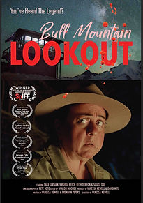 Bull Mountain Lookout  postcard and poster
