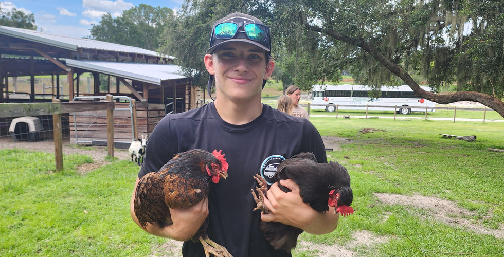 Boy holding two chickens at Ranch