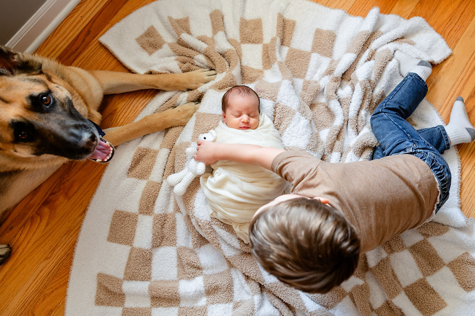 Lifestlye newborn photography Edwardsville, IL