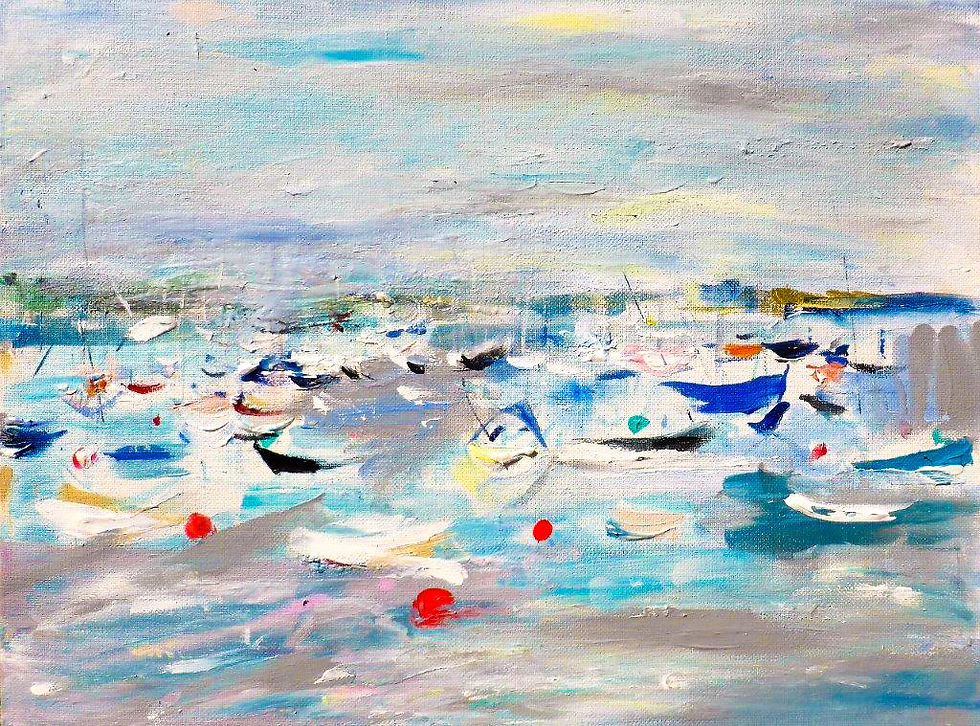 Mylor Yacht Harbour Moorings from Vixen