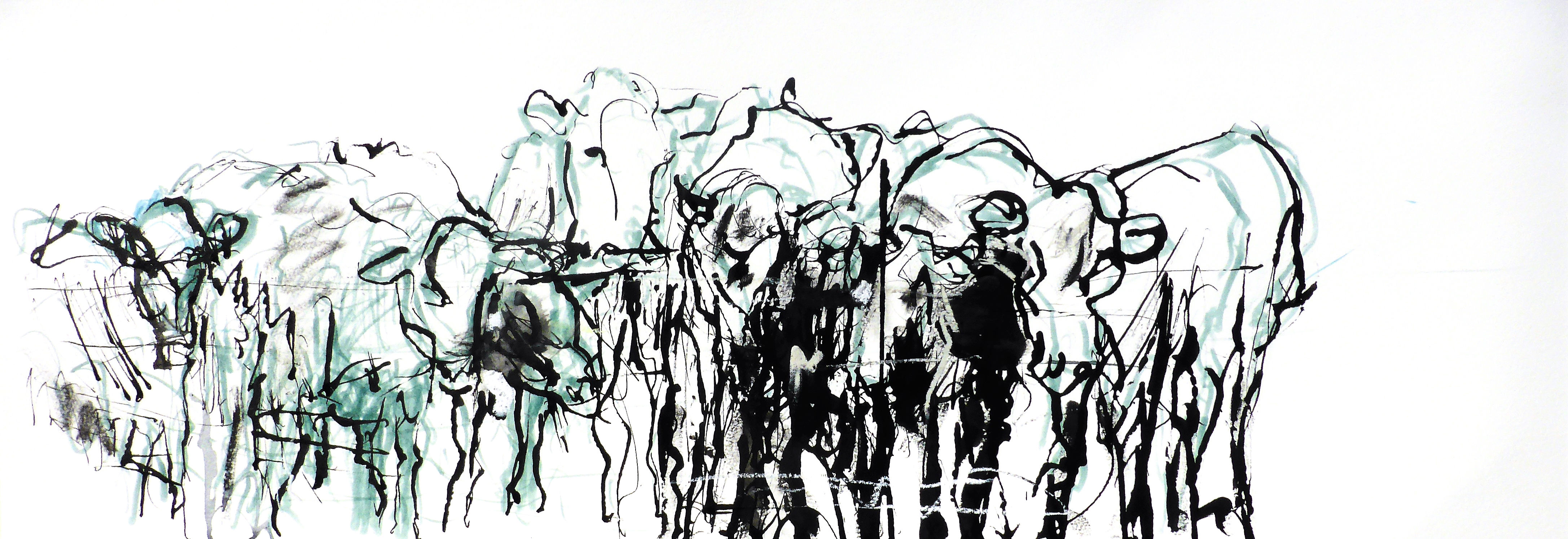 Bovinae 1  (Ridge/Chaz)