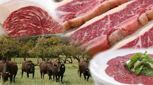 10 beneficios de comer carne de vacuno 