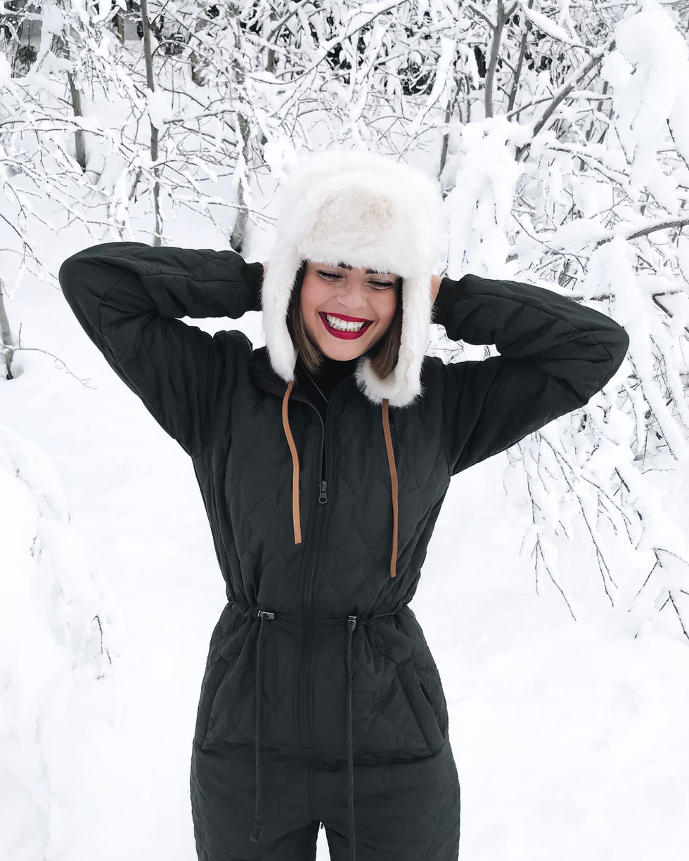 Winter Wonderland- The Alps Ski Guide