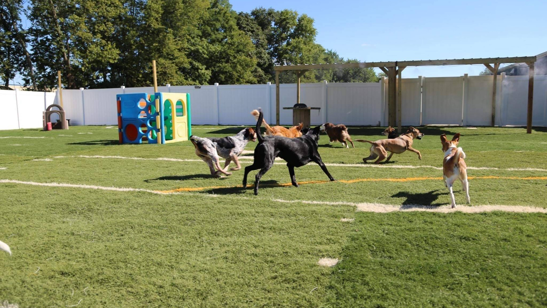 HOME Doggie Paddles LLC