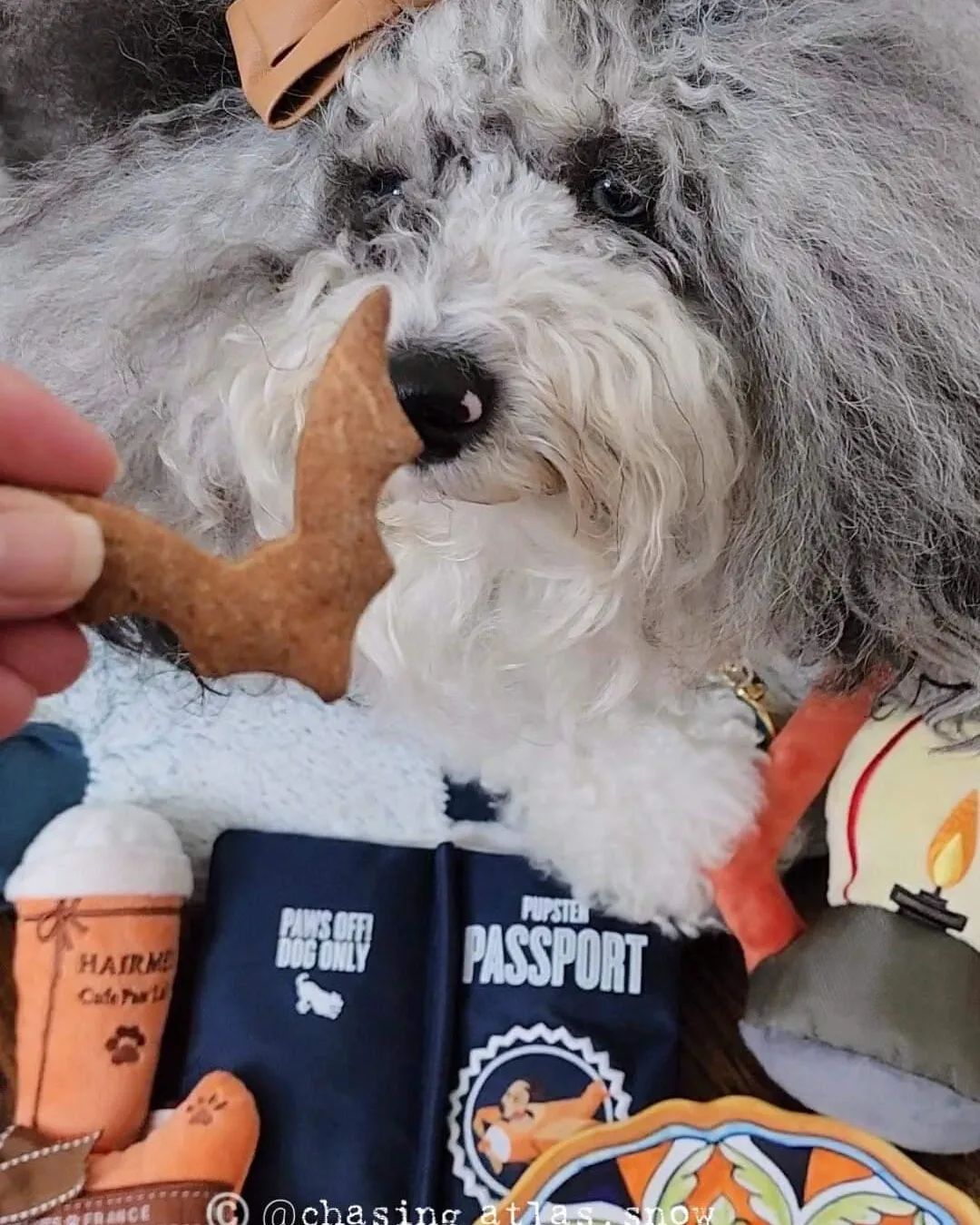 Treat Your Dog Woof Baked Goods
