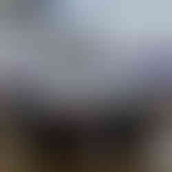 Véhicule à votre image, une communication cohérente sur tous vos supports publicitaires