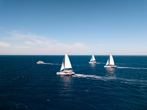 AMC Cape Grace's fleet of hybrid maxi catamarans sailing at sea