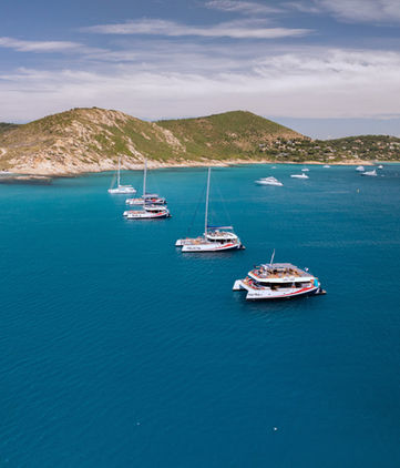 Flotte des maxi catamarans hybrides d'AMC Cape Grace au mouillage au Cap Taillat