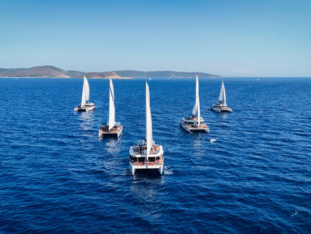 La flotte AMC Cape Grace, 5 maxi-catamarans hybrides, Made in France