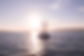 AMC-CAPE-GRACE-JOURNEE-CATAMARAN-ILES-LERINS (14).jpg