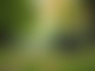 Effective Stress Relief Strategies for a Calmer Life