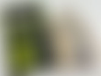 インビザライン_値段