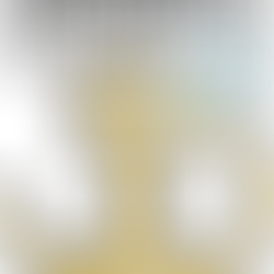 Festeggiamo insieme i 50 anni dell'Accademia Teatro Dimitri