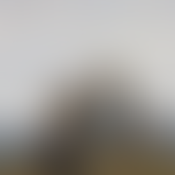 Il Concerto inaspettato: le canzoni nascoste sotto i colori