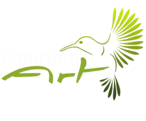Logo_2017 Weiss.png