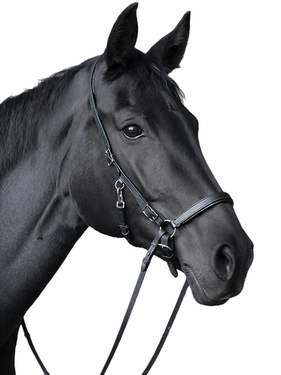 ChatGPT Image 28. Jan_edited.png