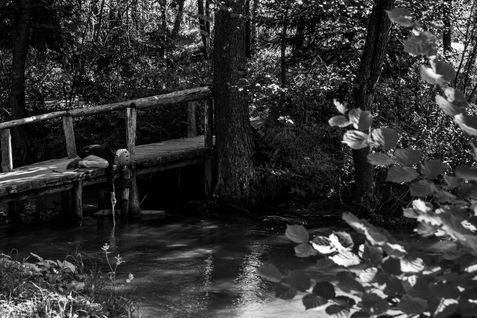 _SLA1126-kopia 2.jpg