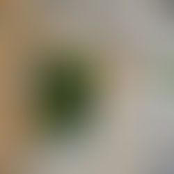 BBJ Article: New Definition of ESG Adapted to Hungarian Conditions