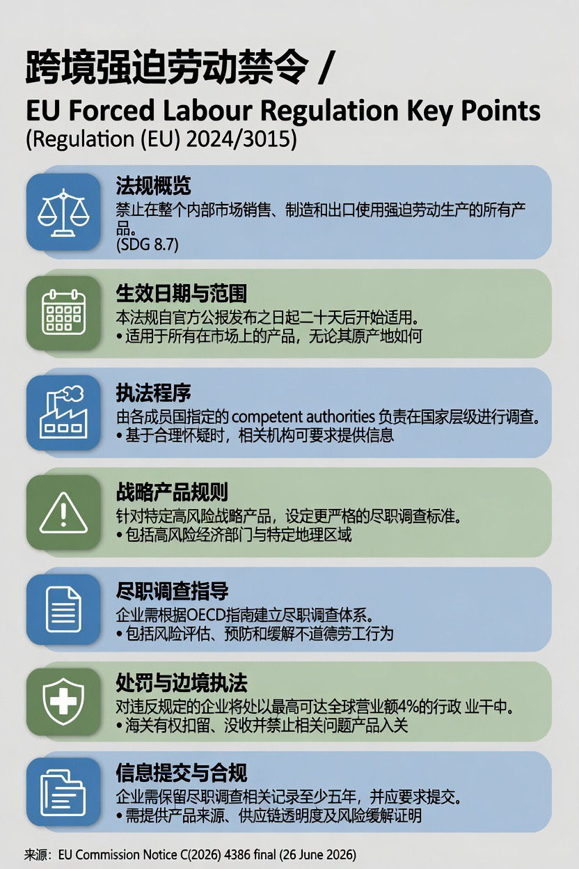 欧盟发布强制劳动产品禁令实施指南 强化市场准入与执法机制