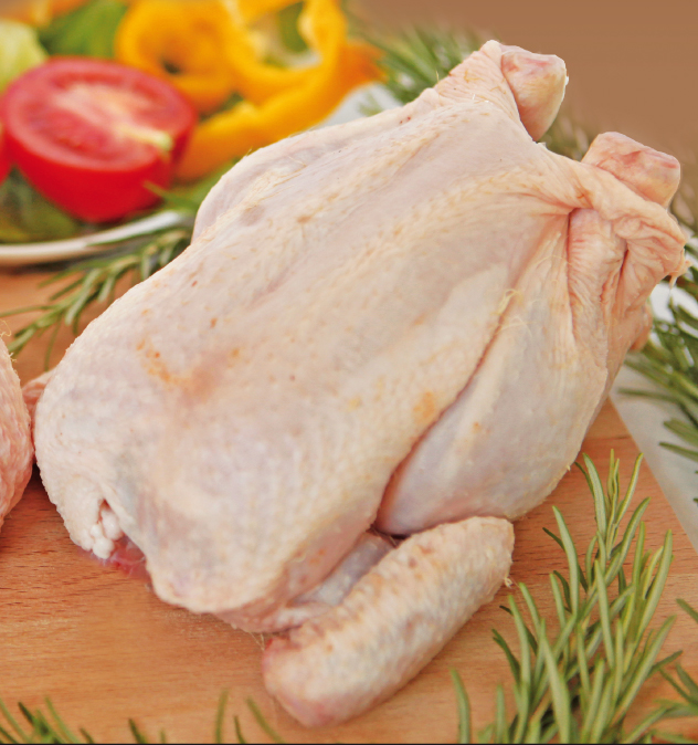 Pollo