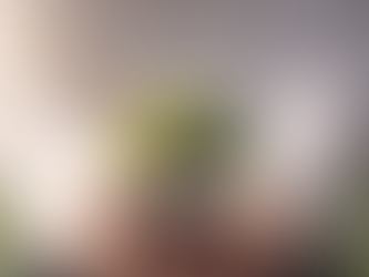 Las 4 cubetas que todo empresario debería construir