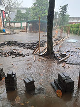 WhatsApp Image 2022-11-08 at 11.33.14.jpeg