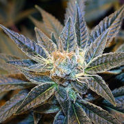 IMG_20200221_112908_713 (1).jpg