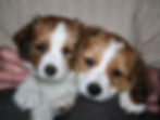 Keila og Jeff 2010