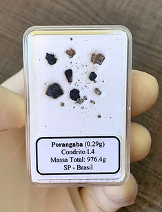 Porangaba frag pq b.jpg
