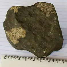 porangaba3.jpg