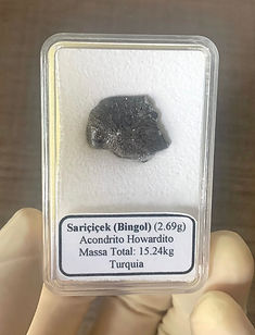 Sariçiçek b.jpg