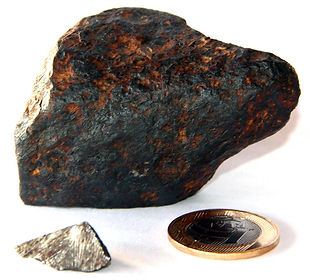 faina2.jpg