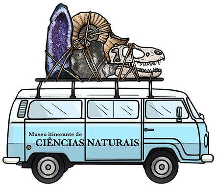 logo novo PNG.png