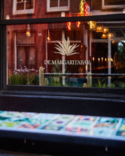 Margarita bar