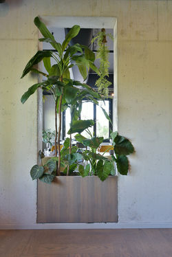 BLOOMING GROOTHOEK_63 kopie