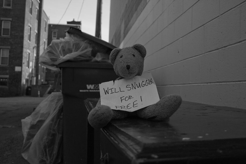 Homeless Bear