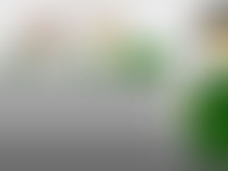 Apple Service Update