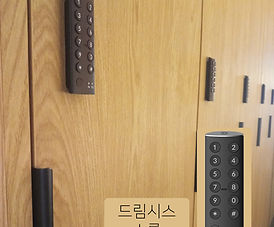 드림시스