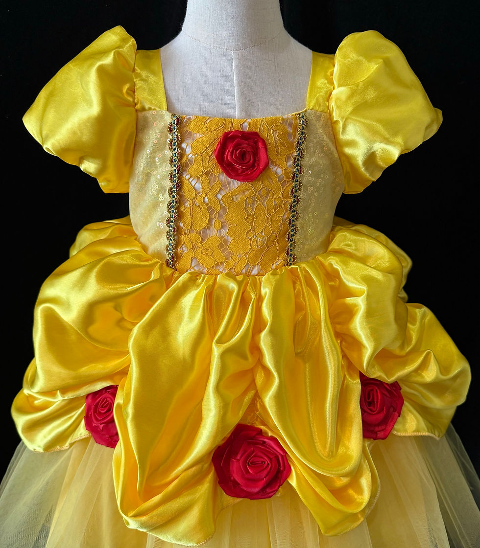 Thumbnail: Toddler Size 2-3 Disney Beauty And The Beast Belle Dress Costume