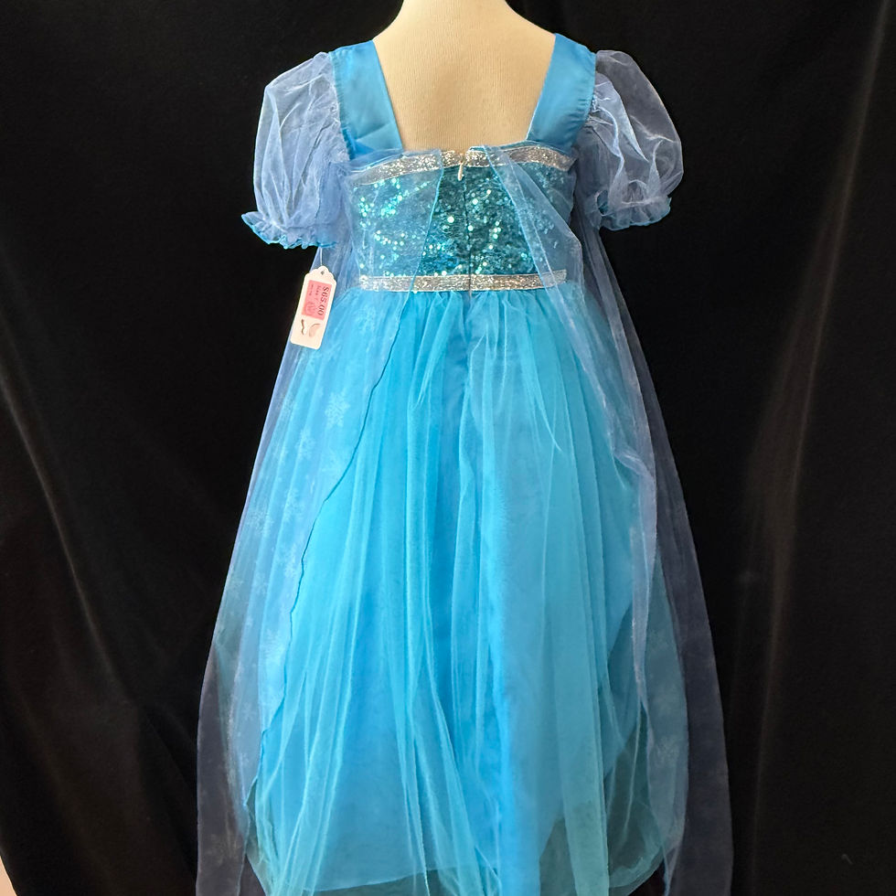 Thumbnail: Girl's Size 7 Disney Frozen Elsa Dress Costume