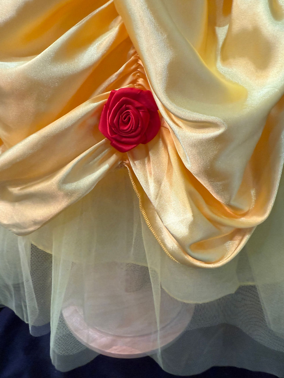 Thumbnail: Toddler Disney Beauty And The Beast Belle Dress Costume
