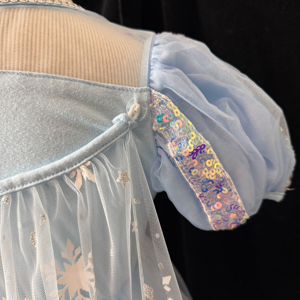 Thumbnail: Girl's Size Disney Elsa Ice Princess Frozen Dress Costume
