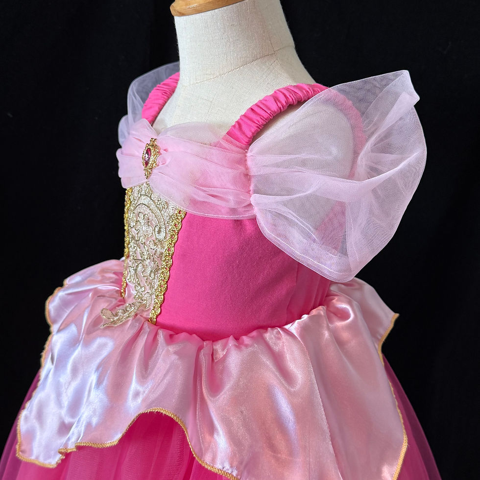 Thumbnail: Toddler Size 2-3 Disney Princess Aurora Sleeping Beauty Dress Costume