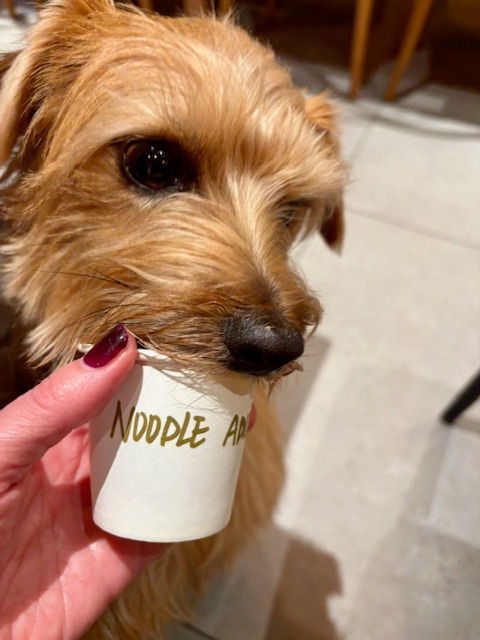 A small dog holds a white cup labeled "NOODLE ADDICT" in its mouth. A hand with red nails supports the cup. The background is a tiled floor.