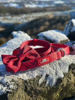 A red dog collar and bow tie on a rock