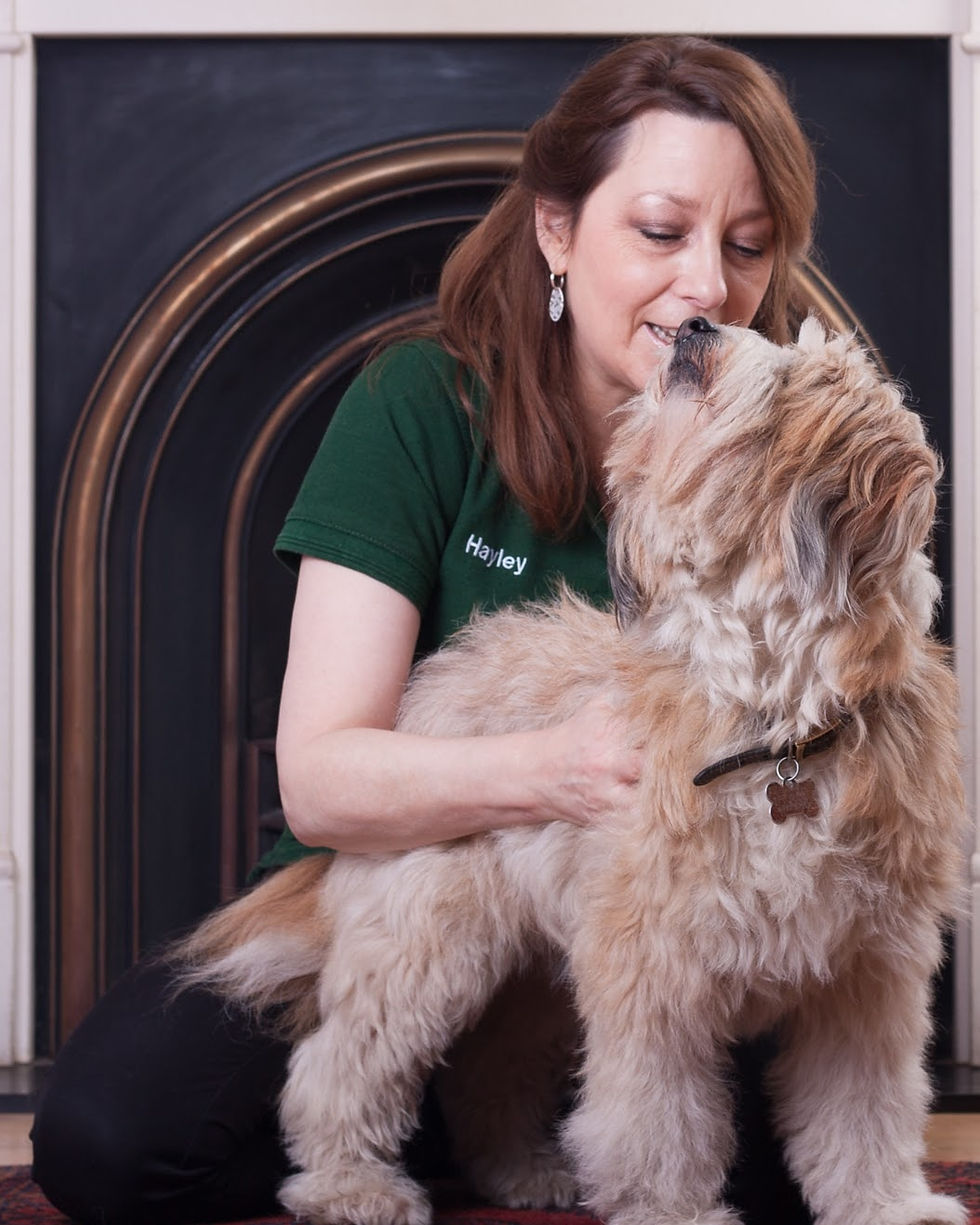 Woman in a green shirt hugs a fluffy dog in front of a fireplace. The mood is warm and affectionate. "Hayley" is embroidered on the shirt.
