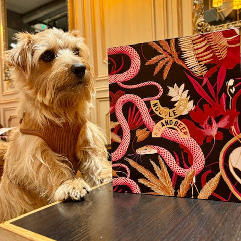 A Norfolk terrier in front of a colourful menu with snakes and flowers saying Noodle and Beer