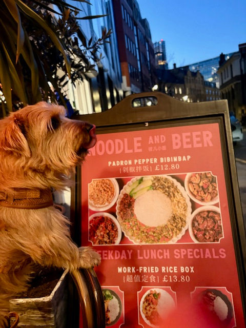 A small dog licks its nose beside a red restaurant menu board on a city street, featuring noodle dishes. Background shows tall buildings.