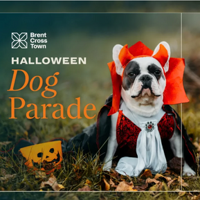 A French bulldog dressed in a vampire costume