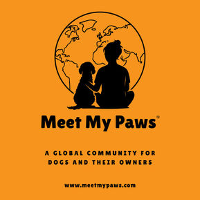 A silhoutte of a woman and a dog in front of a globe